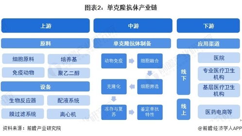 预见2024 2024年中国单克隆抗体行业全景图谱 附市场现状 竞争格局和发展趋势等